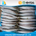 chinese frozen fish sea frozen pacific mackerel